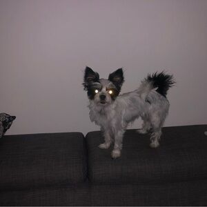 JUNEBVG 🐛🐛🐛 shipping info & etc